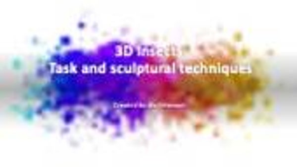 Art - Year 3-10 Insects - sculptures in different Mediums