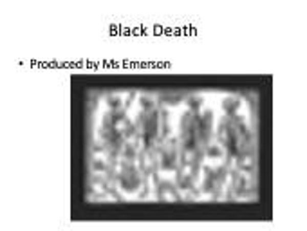 Year 8 - History - Origins of the Black Death (Medieval Times)