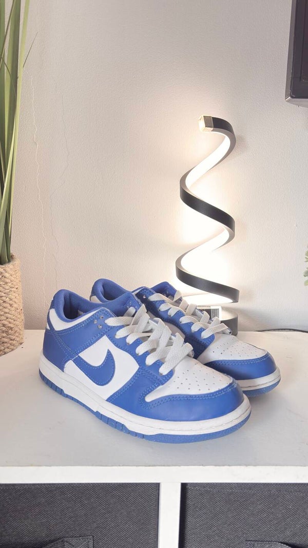 Nike Dunks - Blue - Size 3