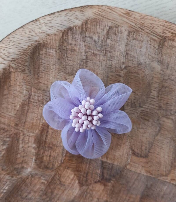 Alligator - Purple flower