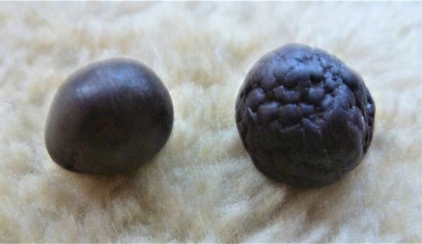 Ascensionstones Paartje