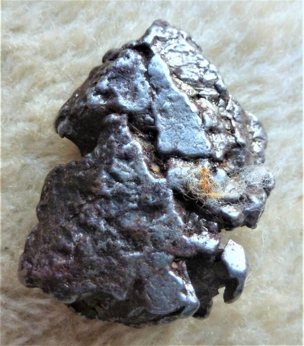 Ijzer meteoriet Campo del cielo