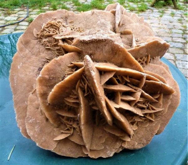 Grote woestijnroos 4,7 kg