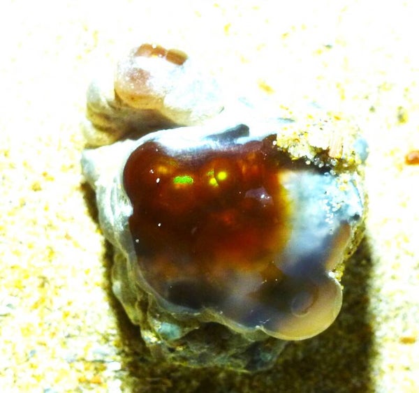 Ditis een mooie Vuur-agaat uit Mexico 2