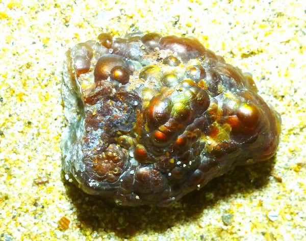 Dit is een mooie Vuur-agaat uit Mexico 8