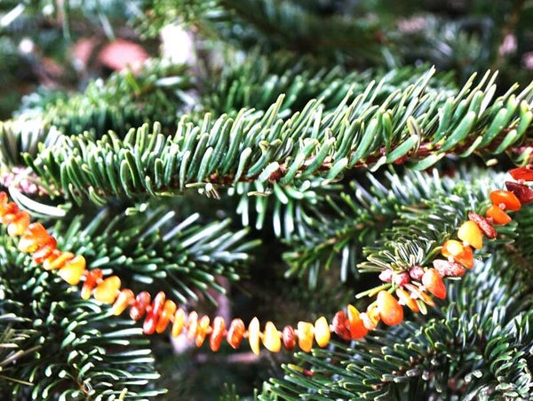 Lange Barnsteen ketting 190 cm