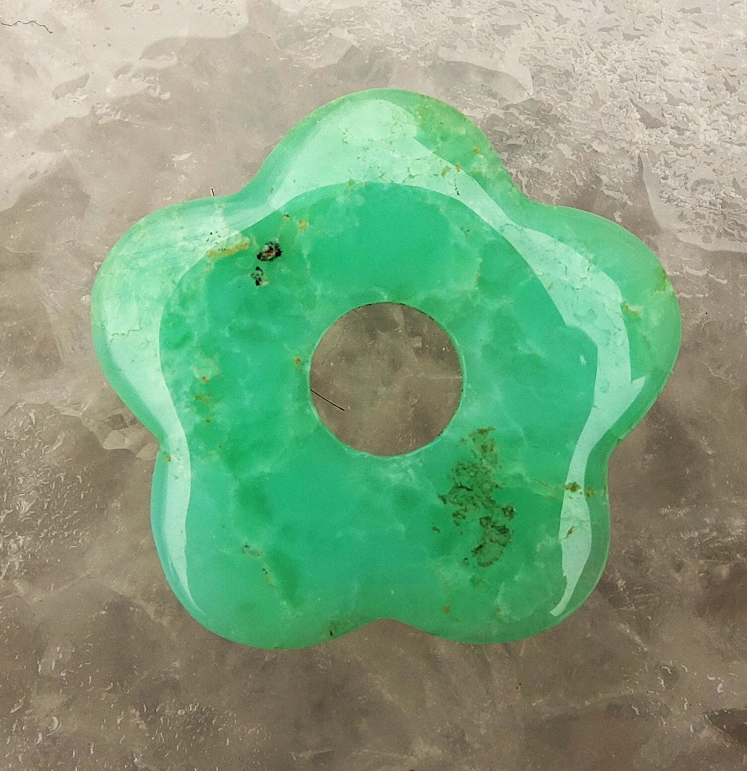 Mooie Australische Chrysopas