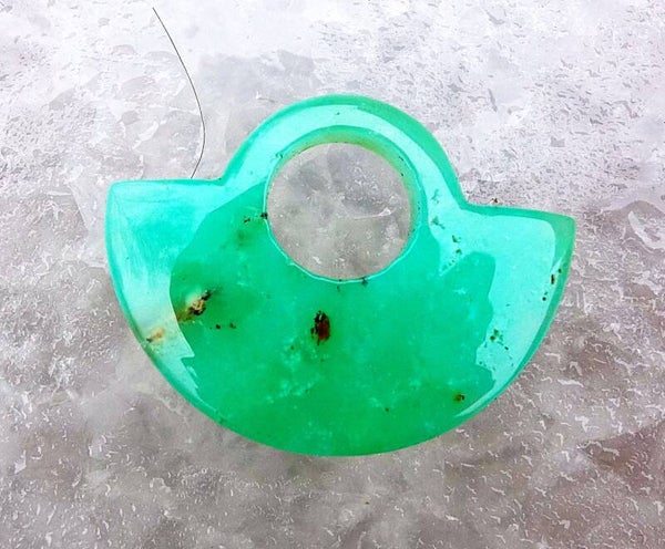 Mooie Australische Chrysopas