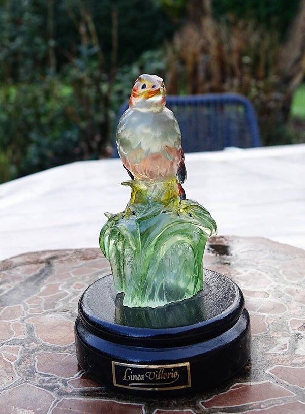 Mooi vogeltje van albastien