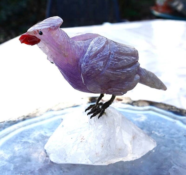 Vogel van Calsiet op Bergkristal