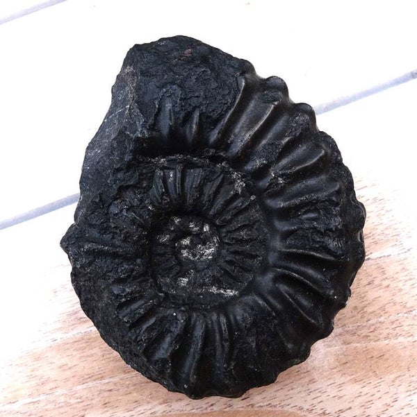 Zwarte ammoniet uit Peru 1