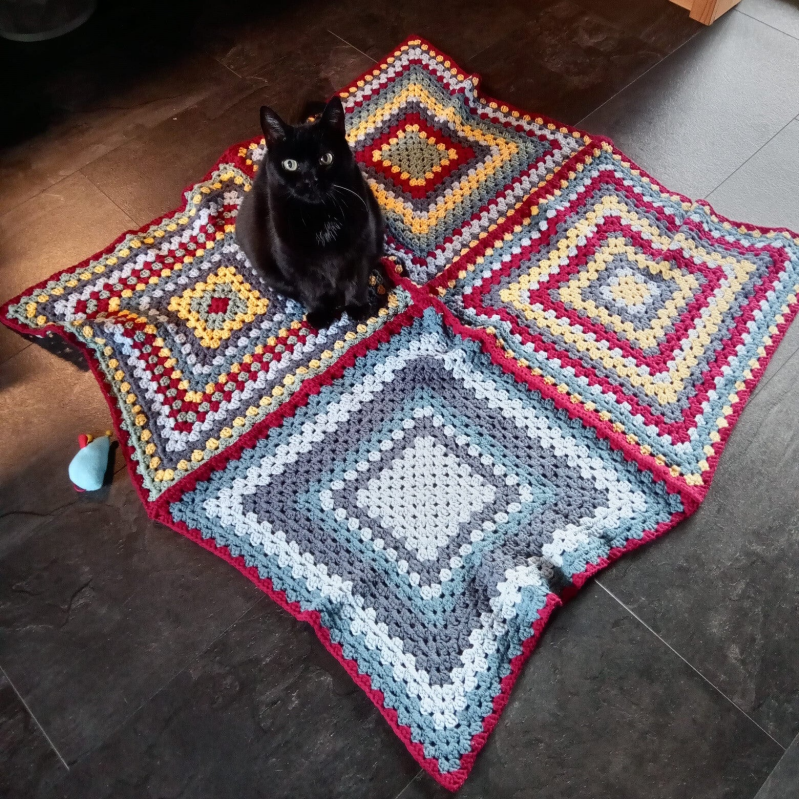 Een zittende zwarte kat die naar de camera kijkt. Hij zit op een kleurrijk granny square deken.
