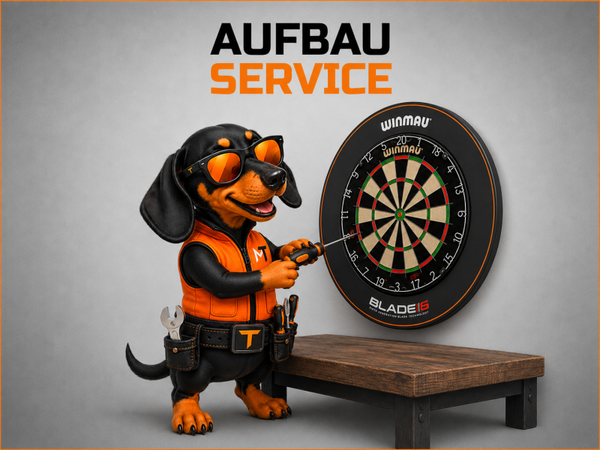 Autodarts Aufbau Service