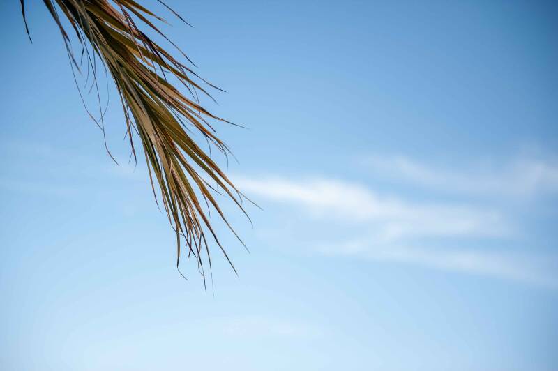 Waarom herstellen niet lukt (ook al doe je alles goed)