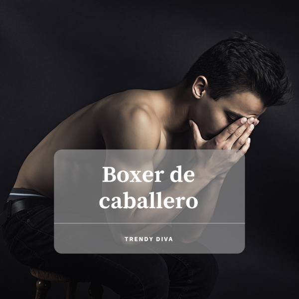 Boxer de caballero