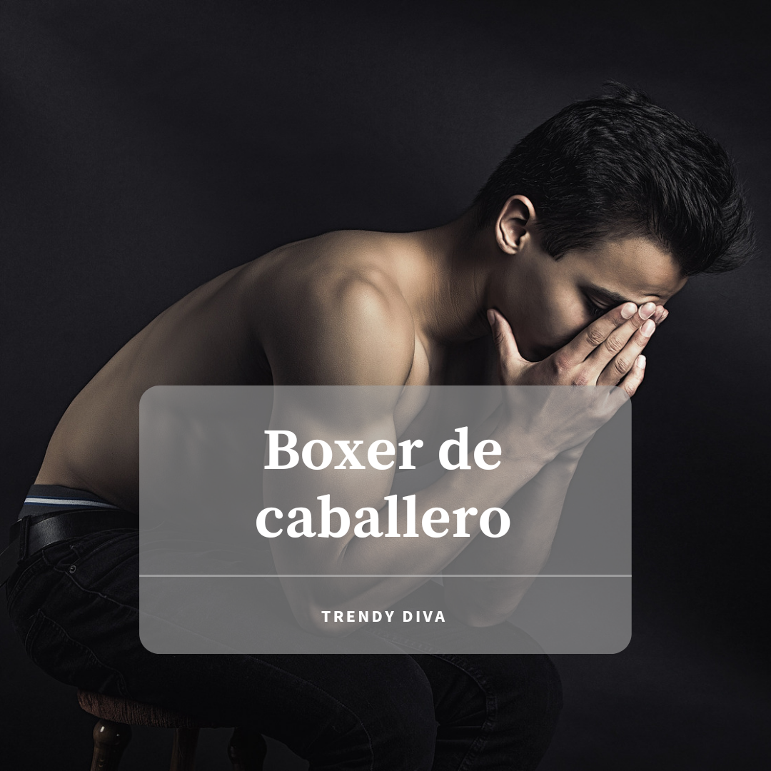 Boxer de caballero