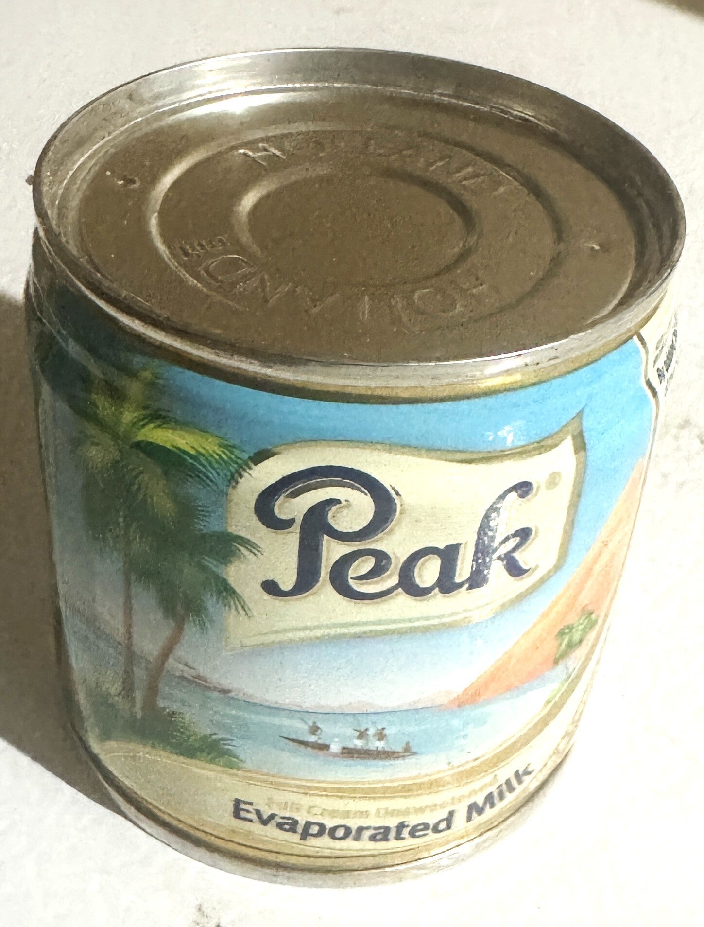 Peak Evaporated Milk 160g
