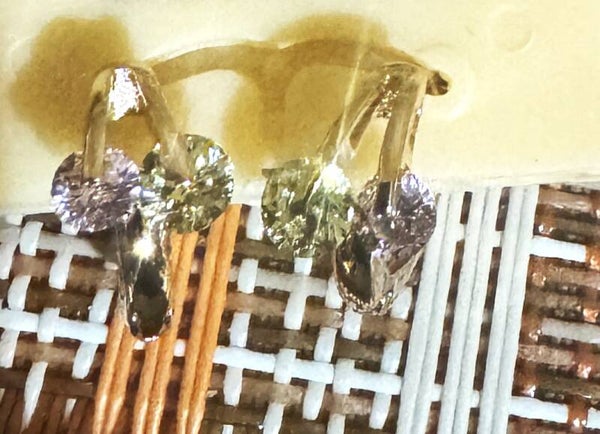 Small Hoops Earrings
