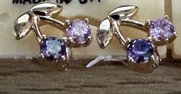 Small Hoops Earring