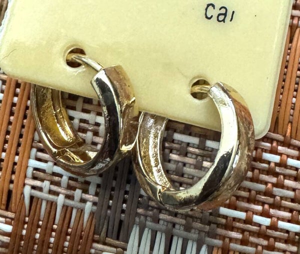 Small Hoops Earrings