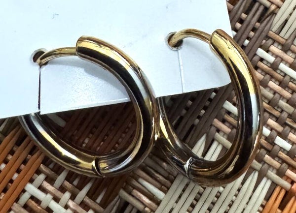 Stainless Steel Earrings
