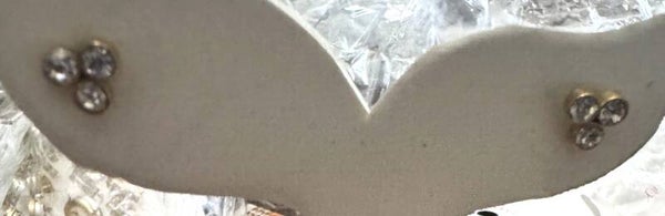 Stainless Steel Earrings