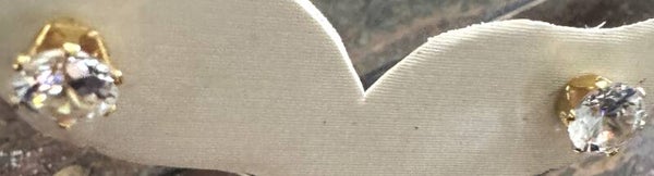 Stainless Steel Earrings
