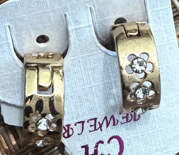 Small Hoops Earrings