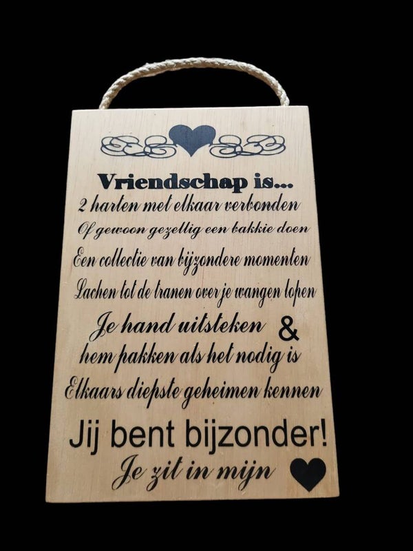 Vriendschap is