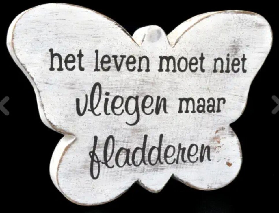 Vlinder het leven moet niet vliegen
