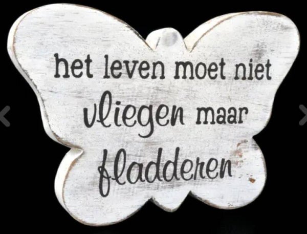 Vlinder het leven moet niet vliegen