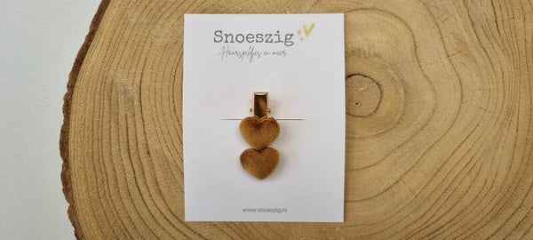 DS Lieve - speldje 5