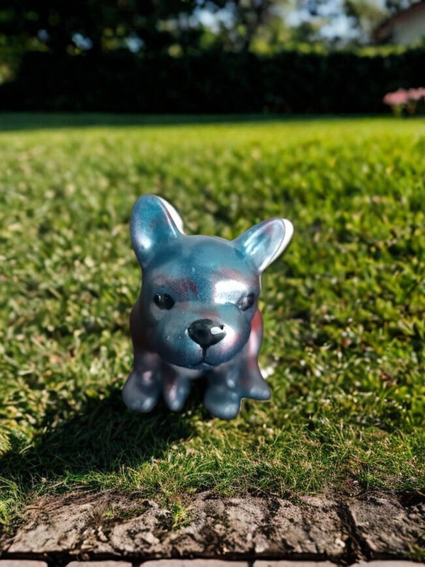 Franse bulldog
