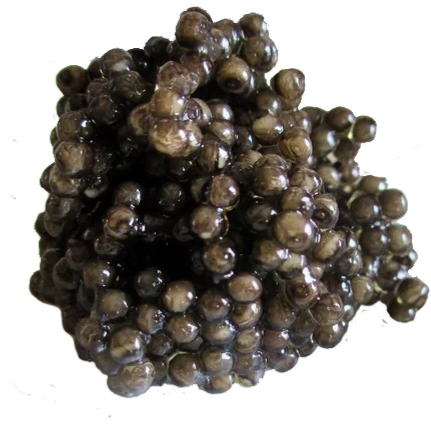 Sturgeon Caviar