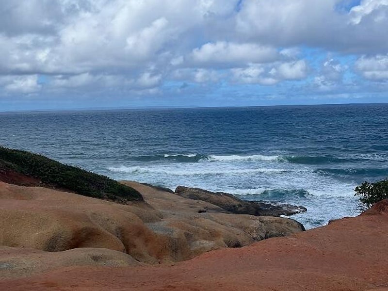 Orgaic Rocks Contact | Rocks & Waves Organic Drinks