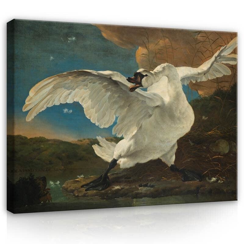 Schilderij De Bedreigde Zwaan - Jan Asselijn