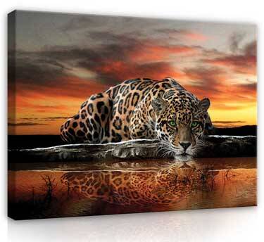 Collectie dieren schilderijen