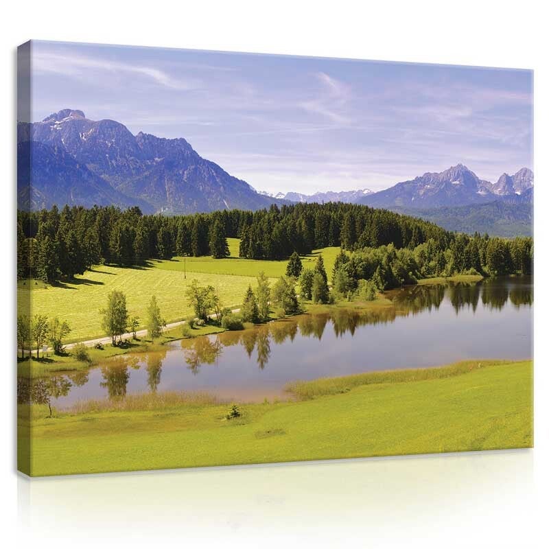 Schilderij Berglandschap