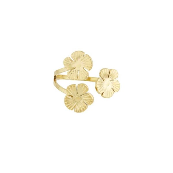 ring - fio goud