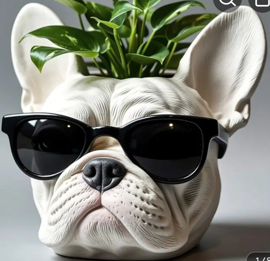 small office desk flower pots