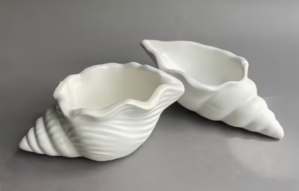sea shell