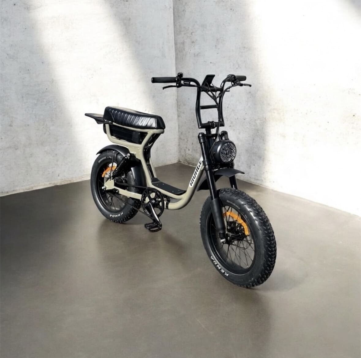 VELO A ASSISTANCE ELECTRIQUE BIPLACE RIVAGE BRIO
