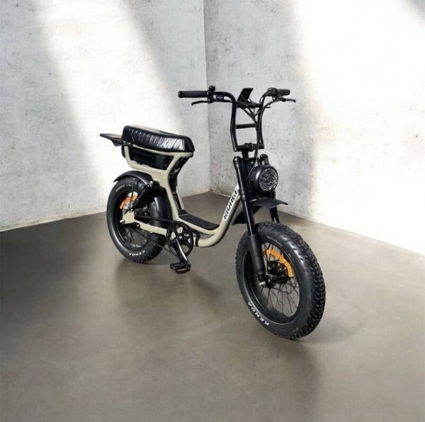 VELO A ASSISTANCE ELECTRIQUE BIPLACE RIVAGE BRIO