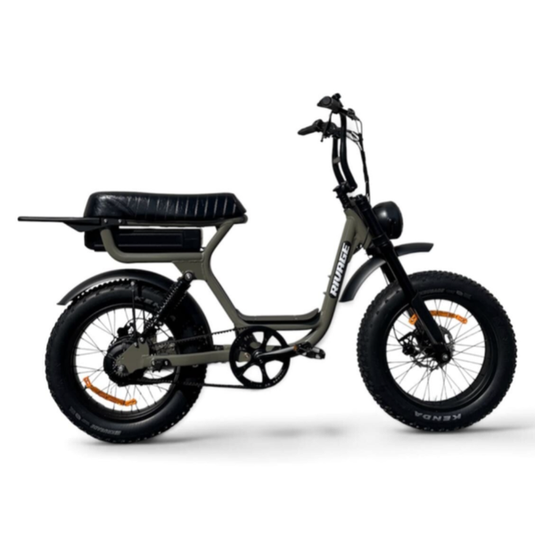 VELO A ASSISTANCE ELECTRIQUE BIPLACE RIVAGE BRIO PINEDE