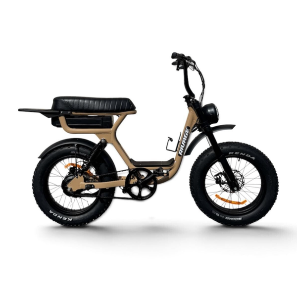 VELO A ASSISTANCE ELECTRIQUE BIPLACE RIVAGE BRIO | DUNE