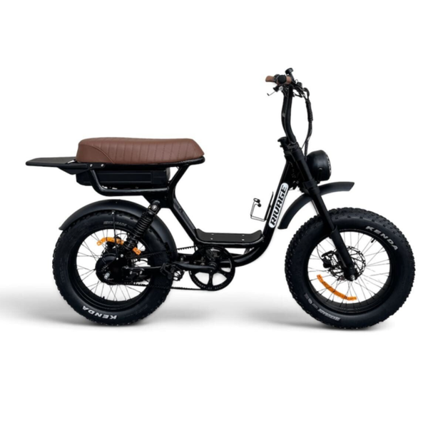 VELO A ASSISTANCE ELECTRIQUE BIPLACE RIVAGE BRIO | RÉTRO