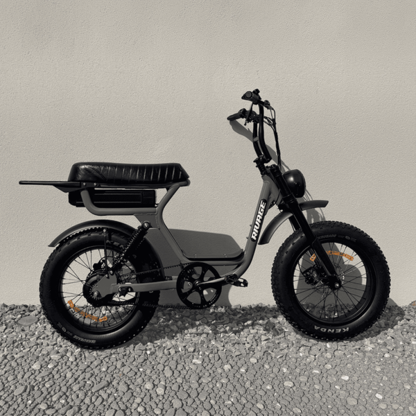 VELO ELECTRIQUE BIPLACE RIVAGE BRIO D'OCCASION OU RECONDITIONNE