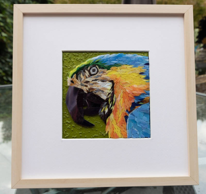 yellow and blue macaw, mosaic, micro
