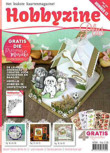 Hobbyzine + nr 13