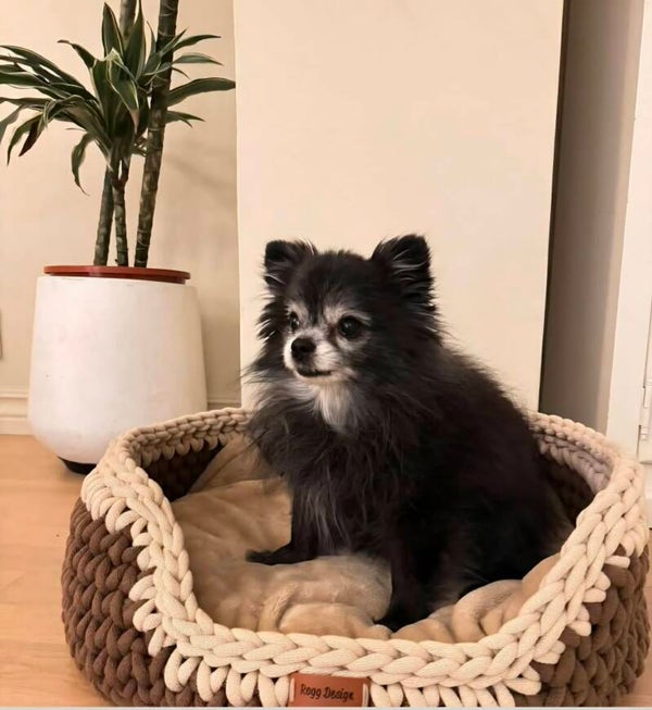 Håndlaget hundeseng ,trygg, lun og slitesterk 🐾